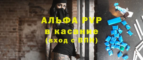 гидра Надым