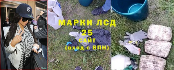 гидра Надым
