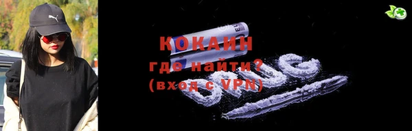 гидра Надым