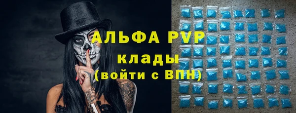 гидра Надым