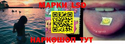 индика Гусев