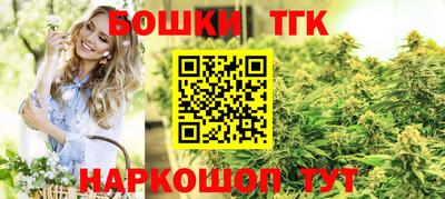 ECSTASY Гусь-Хрустальный