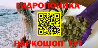 индика Гусев