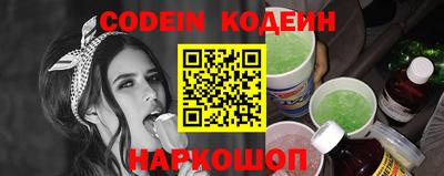 индика Гусев