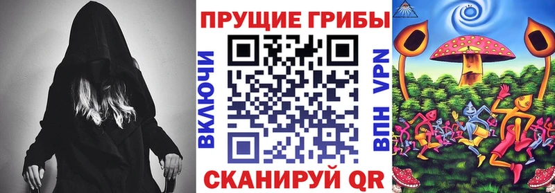 Псилоцибиновые грибы GOLDEN TEACHER  продажа наркотиков  Назрань 