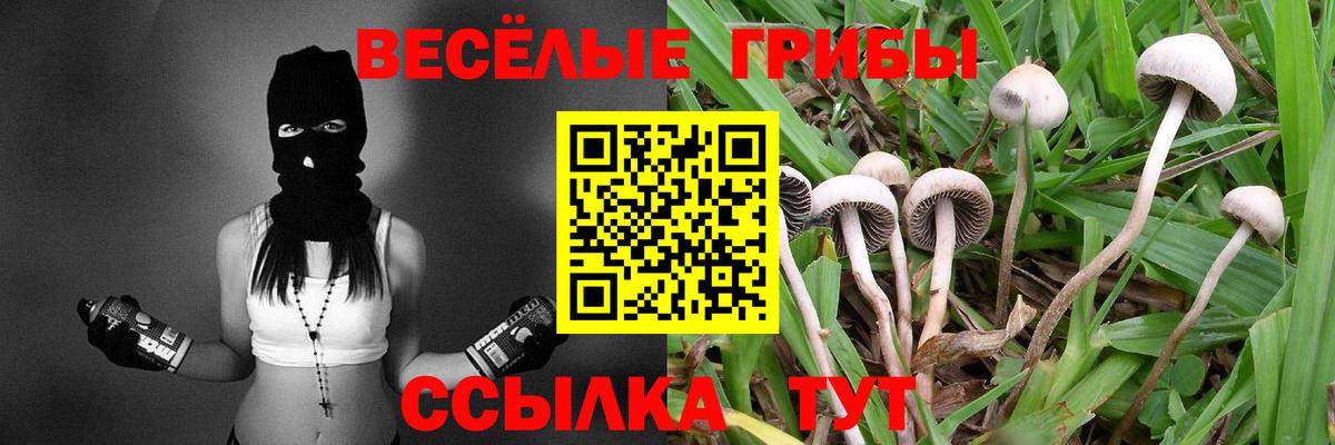 КОКАИН  NBOMe  Конопля  МЕФ   Codein  Экстази  Вход с VPN  Назрань  ТГК  Лсд 25  МДМА  A-PVP СК   ГАШ 