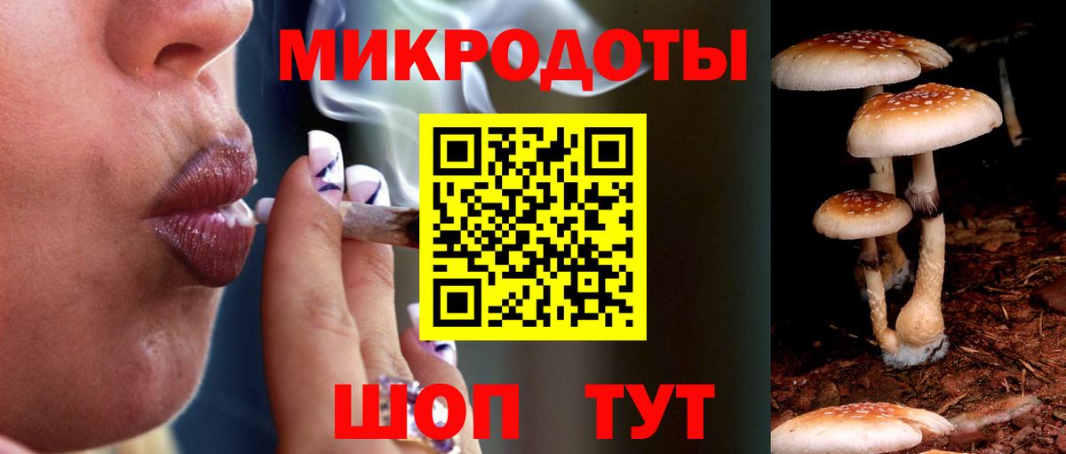 Галлюциногенные грибы Psilocybine cubensis Назрань