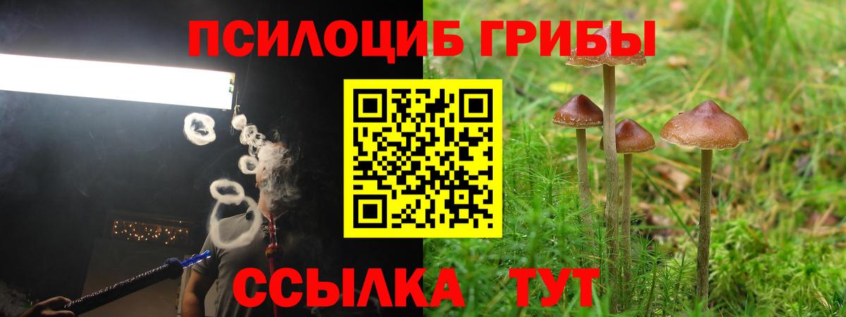 Псилоцибиновые грибы ЛСД  Назрань 