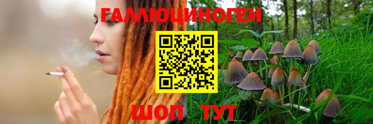 Галлюциногенные грибы ЛСД Назрань