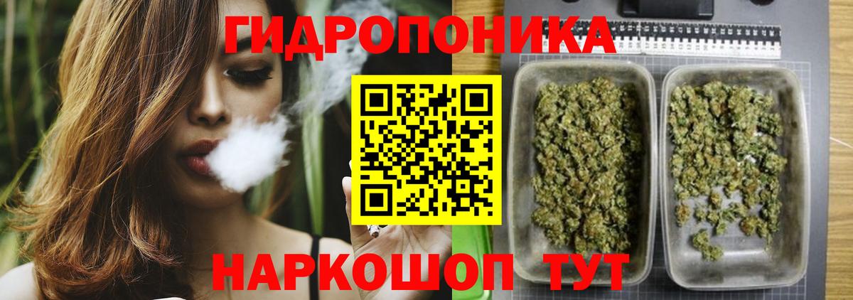 Марихуана марихуана Назрань